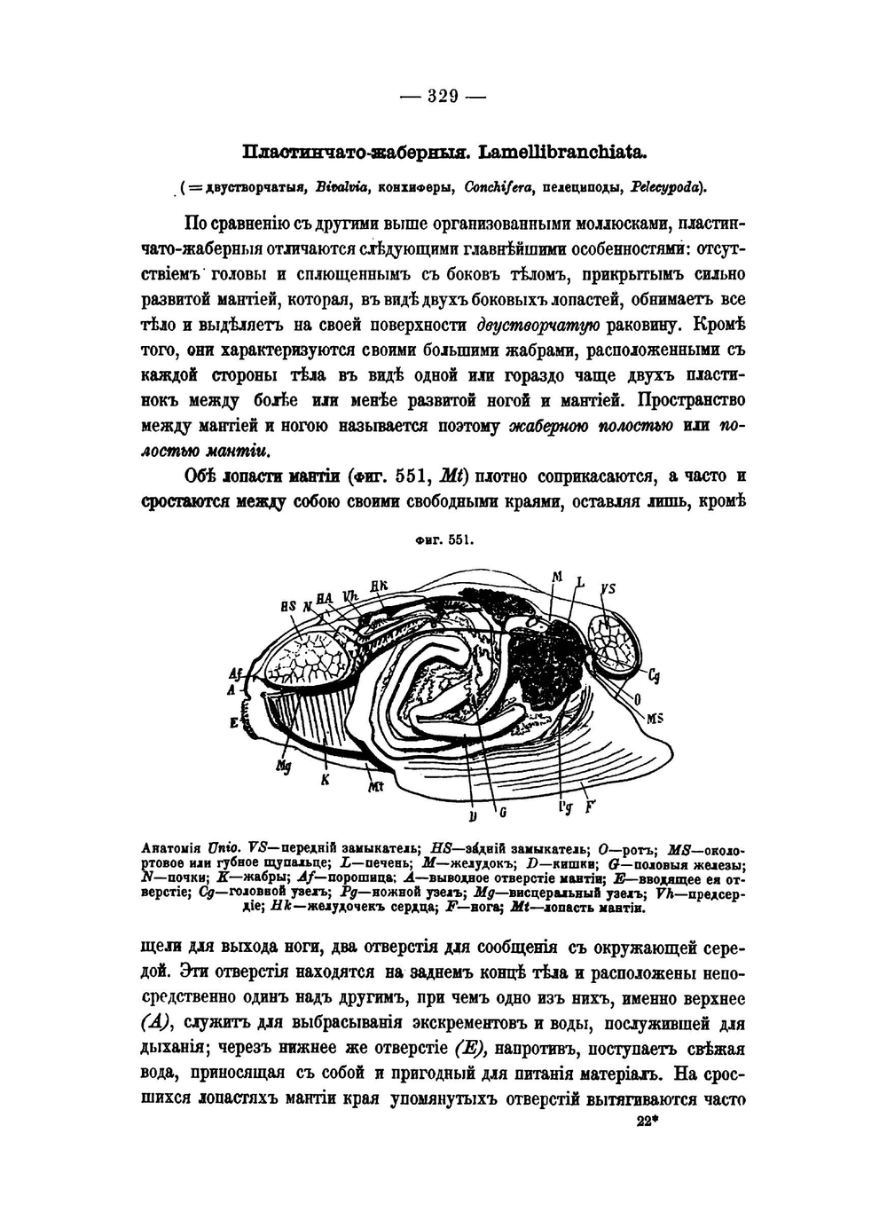 Краткий курс палеонтологии. Палеозоология | Лагузен Иосиф Иванович