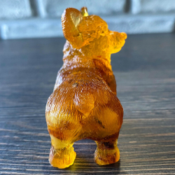 Корги