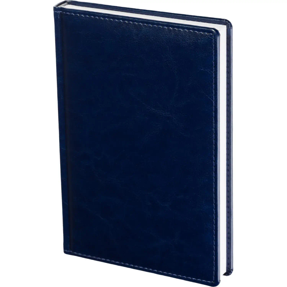 Ежедневник недатированный синий, А5, 148x218, 352стр, Agenda