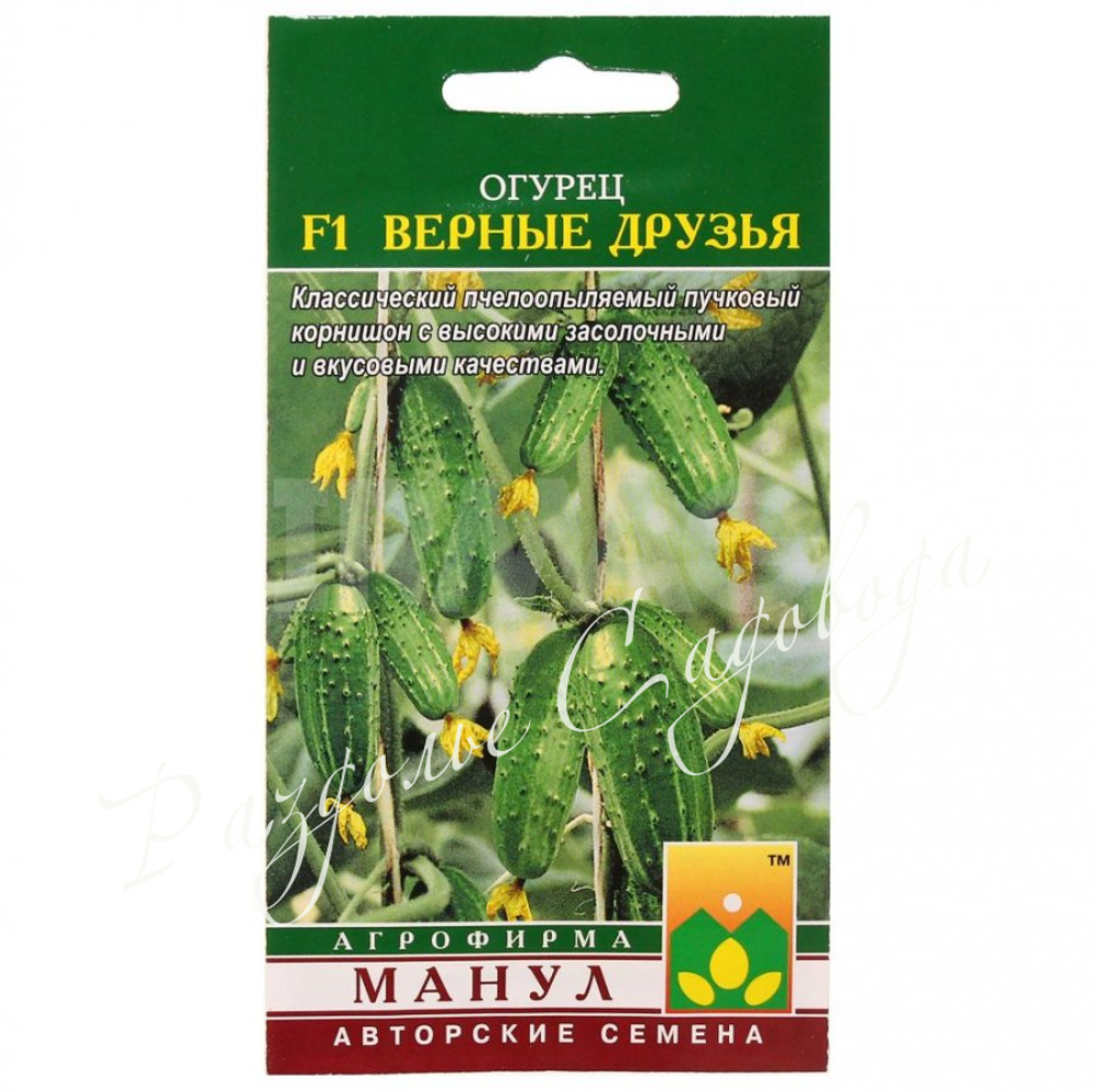 Огурец Верные друзья F1 , семена