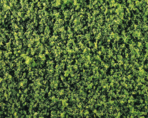 Листва средне-зеленая (флисовая)