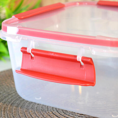 Контейнер 1,2л герметичный "Butterfly bright" (красный)