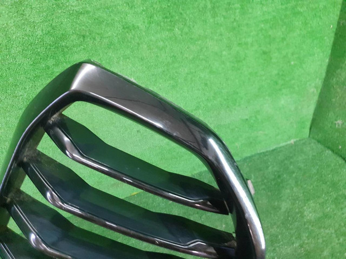 Решетка радиатора BMW X5 G05 (2018-2023)