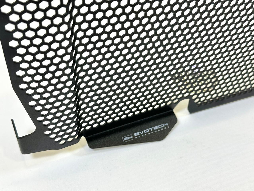 Evotech Performance Защитная сетка радиатора BMW R 1250 R PRN012256