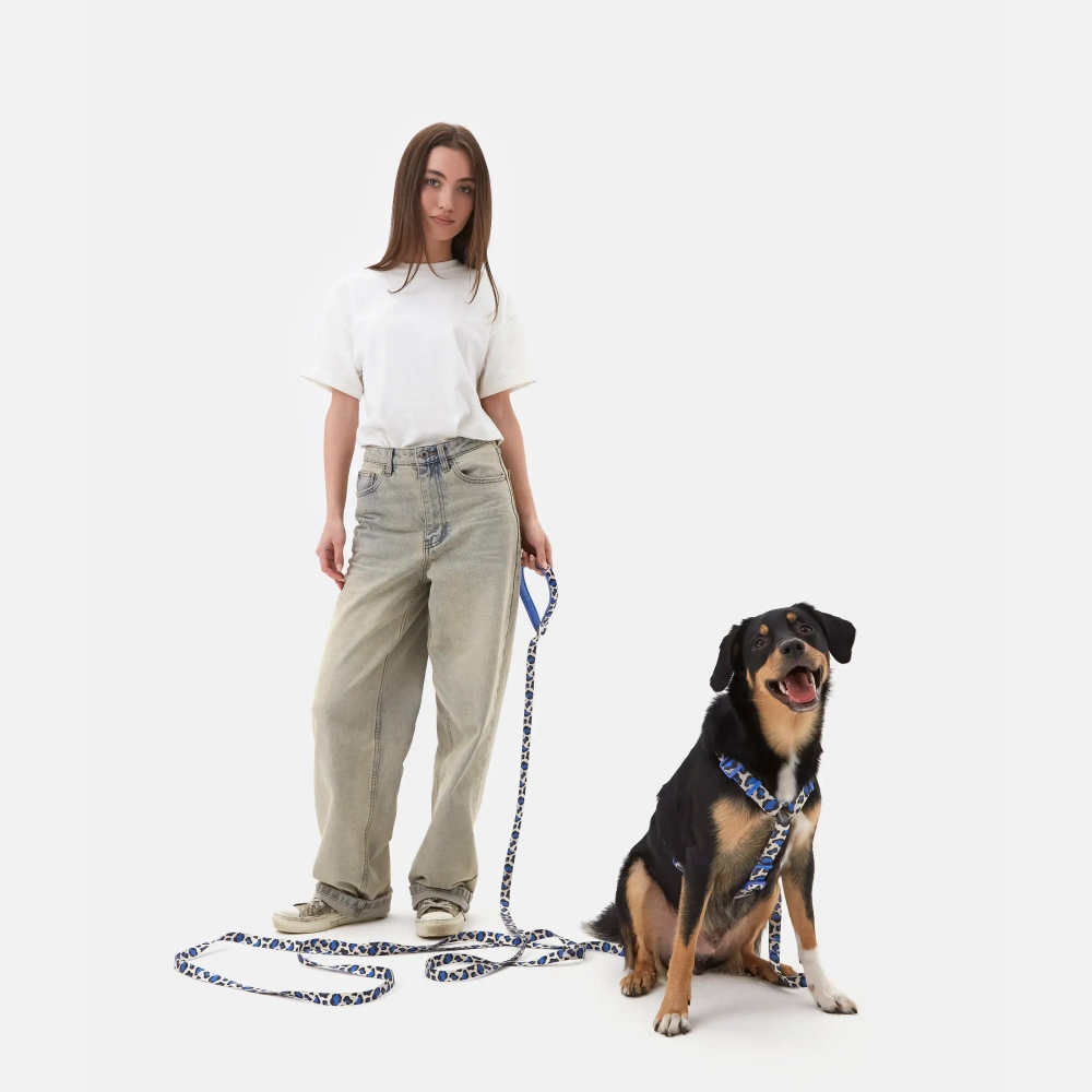 Настраиваемый поводок Midnight Safari с автоблокировкой