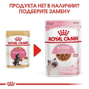 Пауч для котят, Royal Canin Kitten Maine Coon, в возрасте от 3 до 15 месяцев