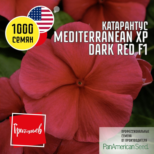 Катарантус Mediterranean XP Dark Red F1