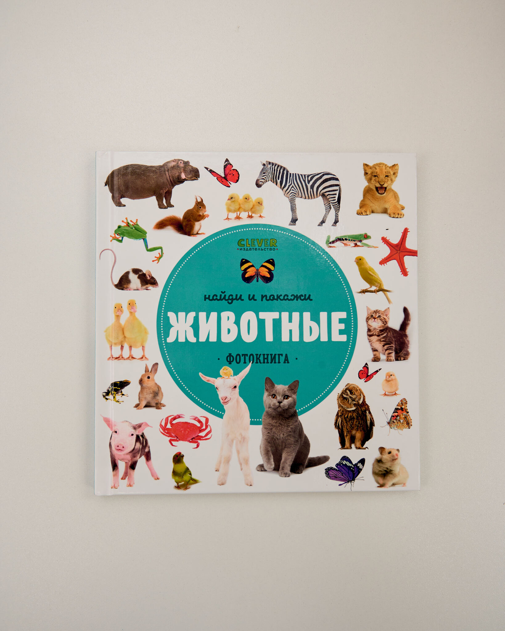 Выбор экспертов Clever: набор для развития детей 1–2 лет, 11 книг