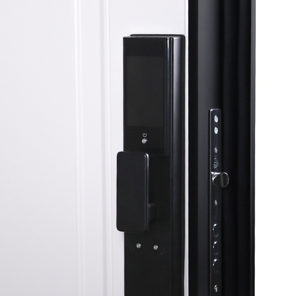 Стальная дверь "Амстердам" (биометрический замок DZ 888). Заказная модель.