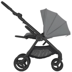 Детская коляска Anex iQ Basic NT 2 в 1 Loft