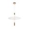 Подвесной светильник Loft IT Skylar 10244/A Brass