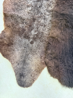 Ковер шкура натуральная овчина Меховой