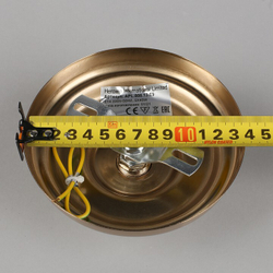 Люстра подвесная Aployt APL.808.13.05