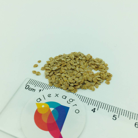 Волверин F1 семена томата детерминантного (Syngenta / ALEXAGRO) семена – фото 7