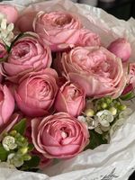 Букет из кустовой пионовидной розы и белых незабудок