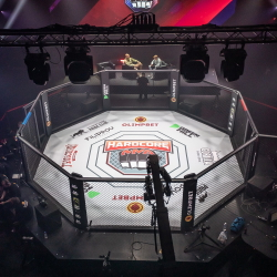 Восьмиугольник турнирный на помосте