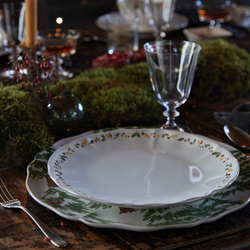 Тарелка 27см Casafina by Costa Nova tp273-whi(tp273-00821b)