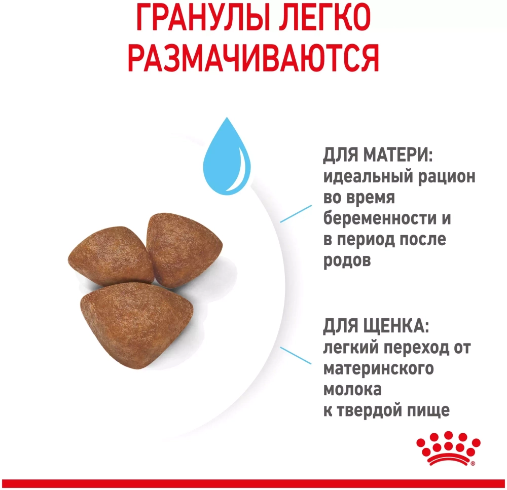 Royal Canin Mini Starter Сухой корм Роял Канин для щенков до 2 месяцев и матерей мини пород, 1 кг
