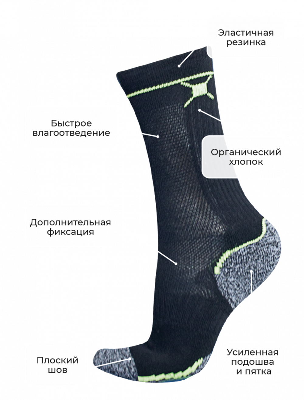 носки TALBERG, Trek Pro Organic +15°C, цвет черный, размер 43-46