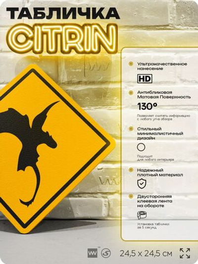 Табличка "Осторожно, дракон" шуточная прикольная табличка на дверь и стену, для офиса и дома, декоративный знак, 24,5х24,5 см, пластиковая, Айдентика Технолоджи