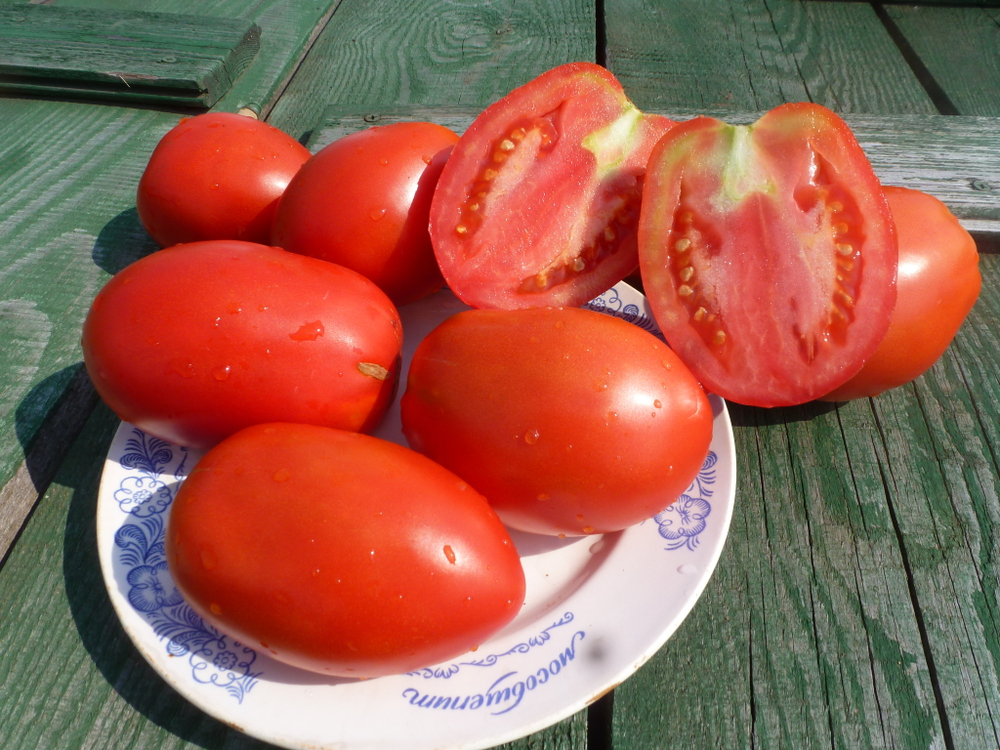 Помидоры - Amos Coli - Амос Коли