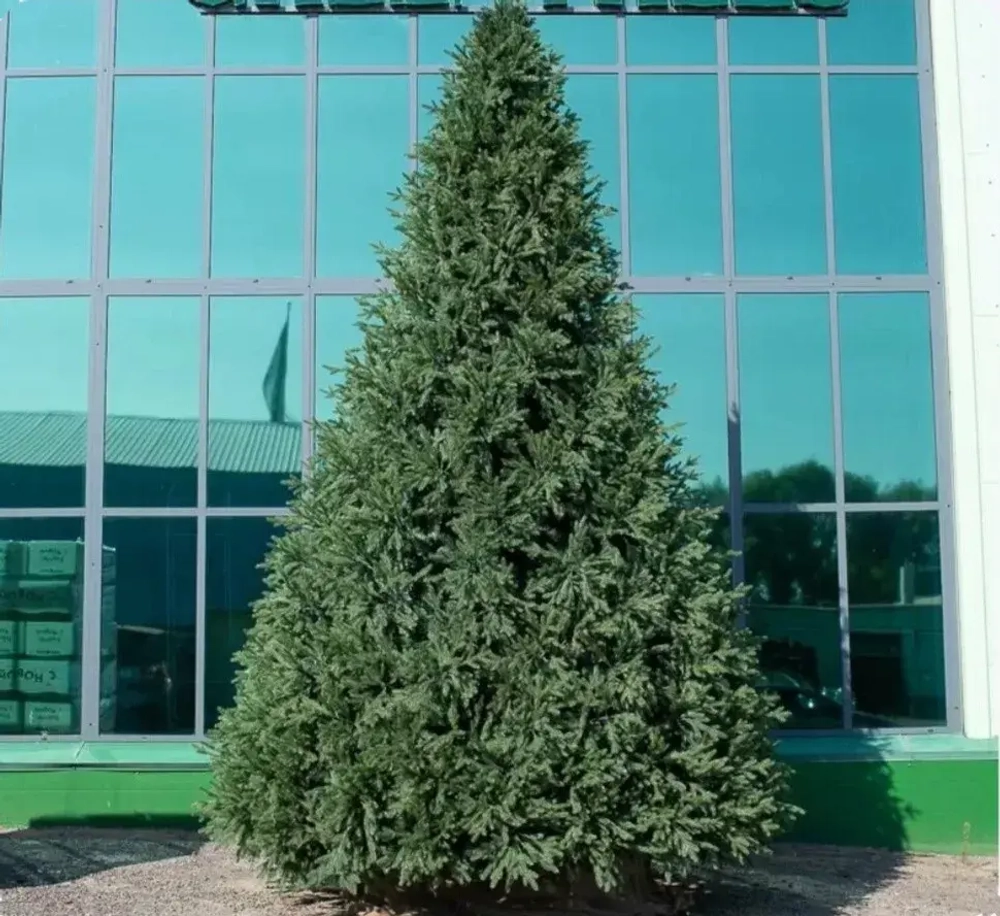 Интерьерная искусственная елка Финская Премиум 4 м., ствольная, Литая хвоя+ПВХ, Green Trees (GT4FIN)