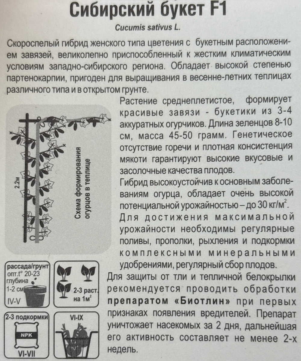 Огурец Сибирский букет F1 7 шт СМО-163