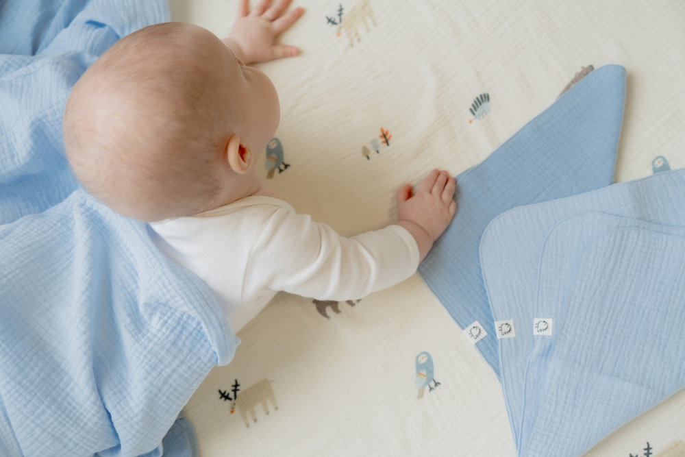 Пелёнки муслиновые BUBA KIDS, 3 шт., Таёжная ночь/ нежно-голубой/ синяя пастель, 75х75