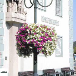 Обруч-840, цветочница для опоры (столба)