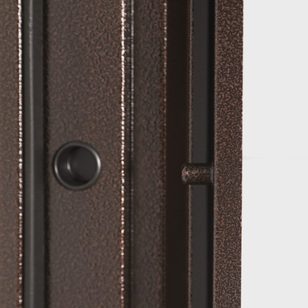 Стальная дверь "Лидер"