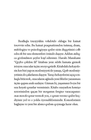 Qeybə çəkilən fil