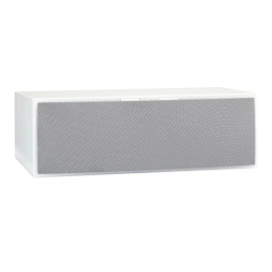 Центральный канал Martin Logan Motion 50XTi Matte White