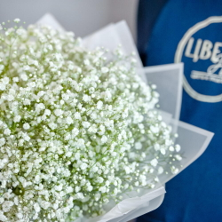 Букет белой гипсофилы