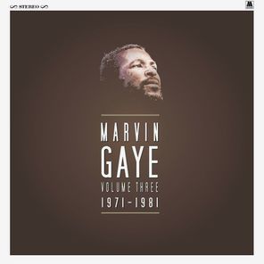Marvin Gaye / Volume Three 1971-1981 (8LP)