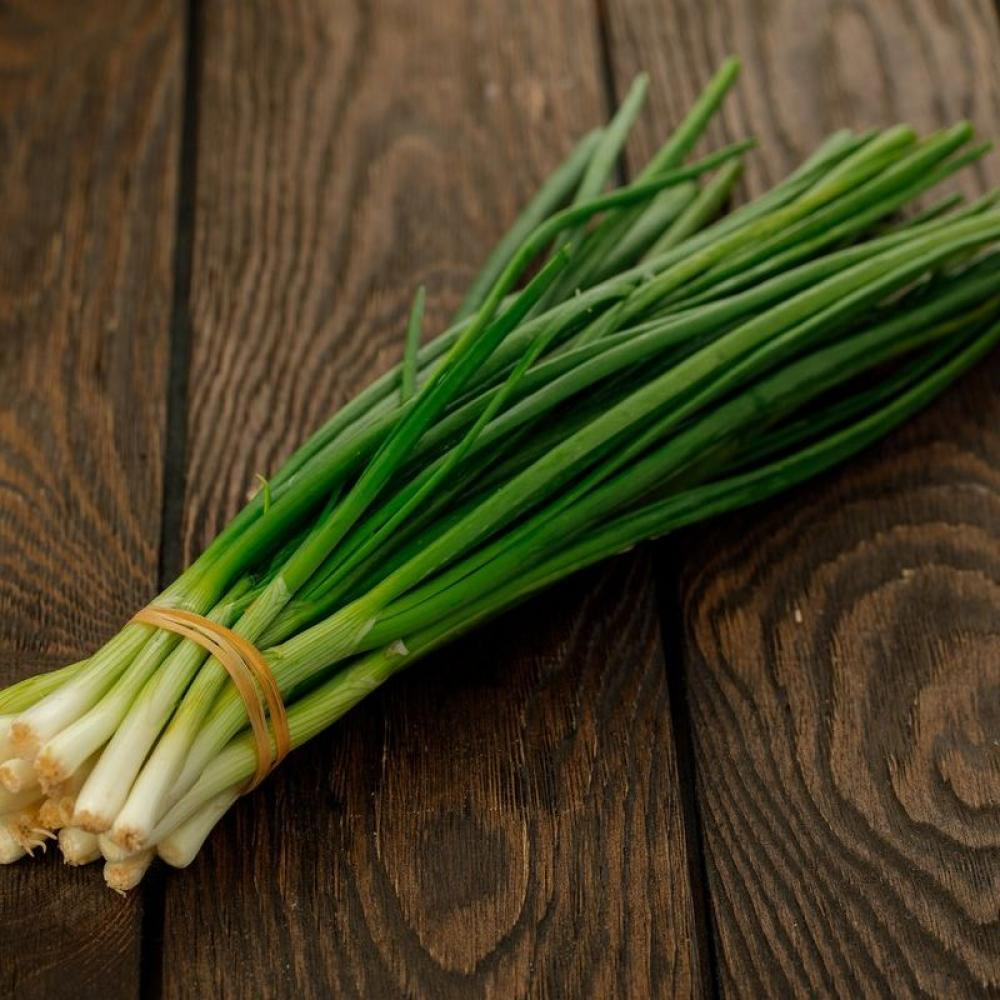Лук зелёный
