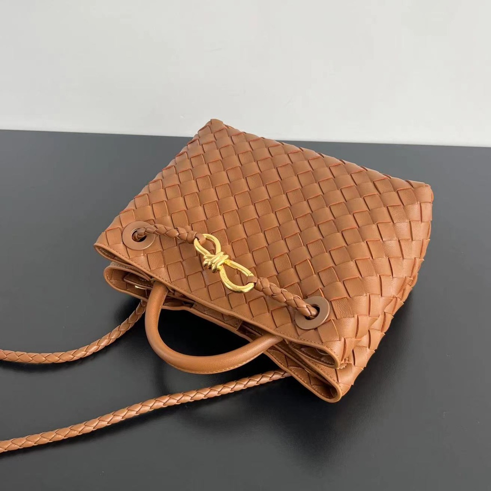 Bottega Veneta Small Andiamo 25 cm