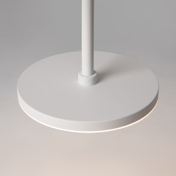 Подвесной светильник Maytoni P076PL-L12W3K-W