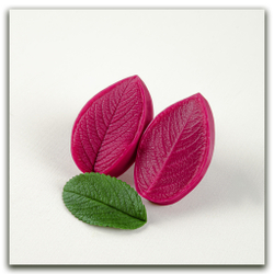 Листья шиповника