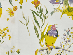 Постельное белье СайлиД B-157 сатин