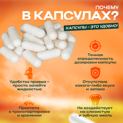 Кордицепс в капсулах по 700 мг, милитарис 180 шт.