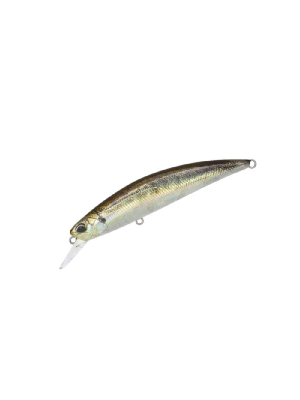 Воблер DUO Spearhead Ryuki 80S SW, ACC4810 Ayu ND