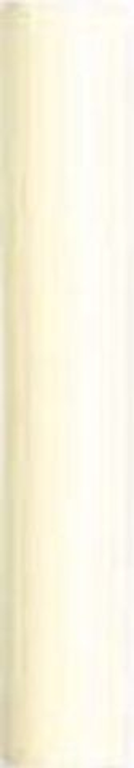 Adex Neri Barra Lisa Biscuit 3x20