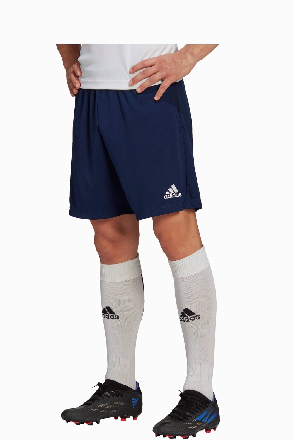 Шорты adidas Entrada 22 Training