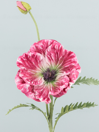 Мак Гигант ярко-розовый