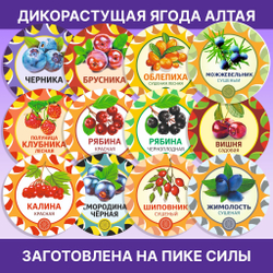 Амурский бархат ягода сушеная, 30 г.