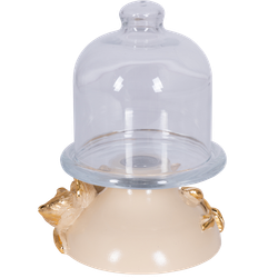 Лимонница Орхидея Лайм Айвори