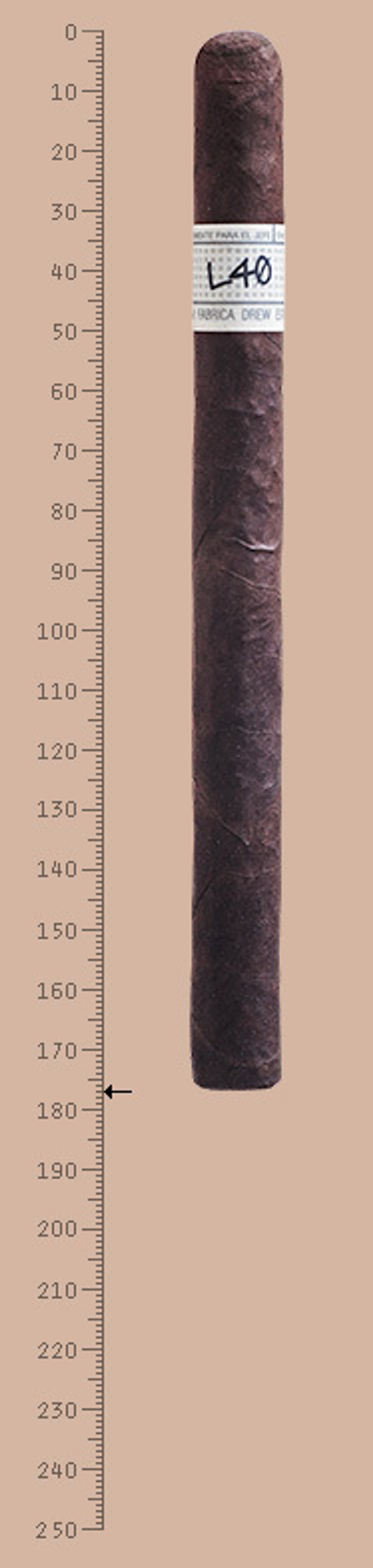 Liga Privada Unico Serie L40
