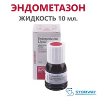 Endomethasone Liquid (10мл.) Эндометазон Жидкость, для пломбирования корневых каналов