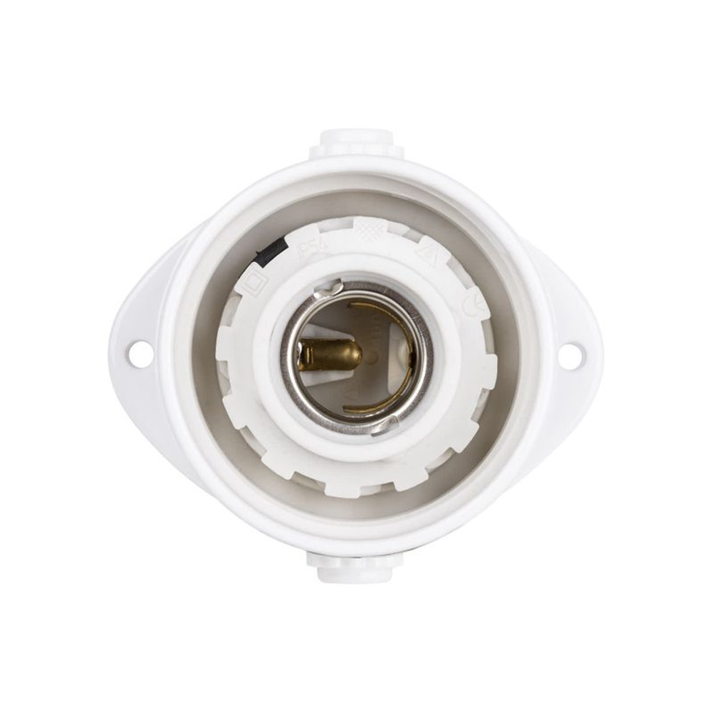 Светильник настенно-потолочный для сауны TDM НПБ400 IP54 60Вт