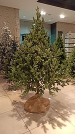 Искусственная ель на ножке «Датская» (хвоя Литая) 120 см / 1.2 м